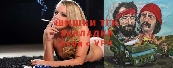 сатива Беломорск