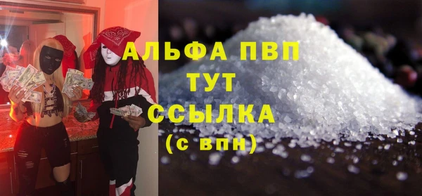 сатива Беломорск
