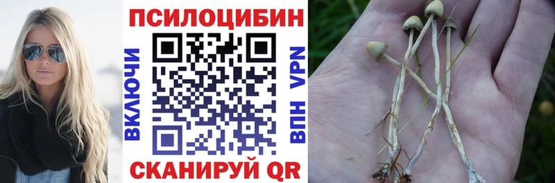 Псилоцибиновые грибы MAGIC MUSHROOMS  где купить наркоту  Лыткарино 