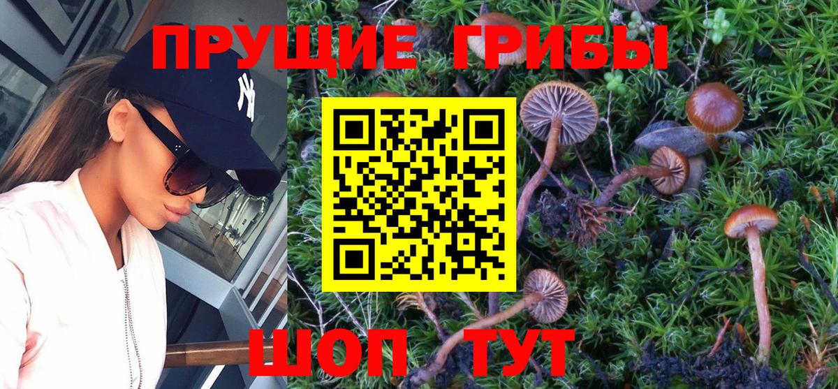 Псилоцибиновые грибы прущие грибы Лыткарино