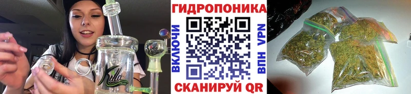 Конопля конопля  Лыткарино 